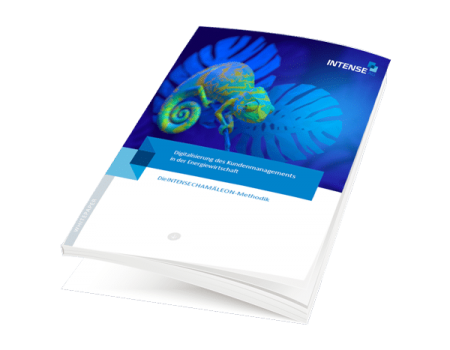Whitepaper-Digitalisierung-Energiewirtschaft